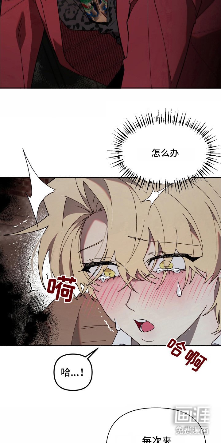 第15章：自知之明