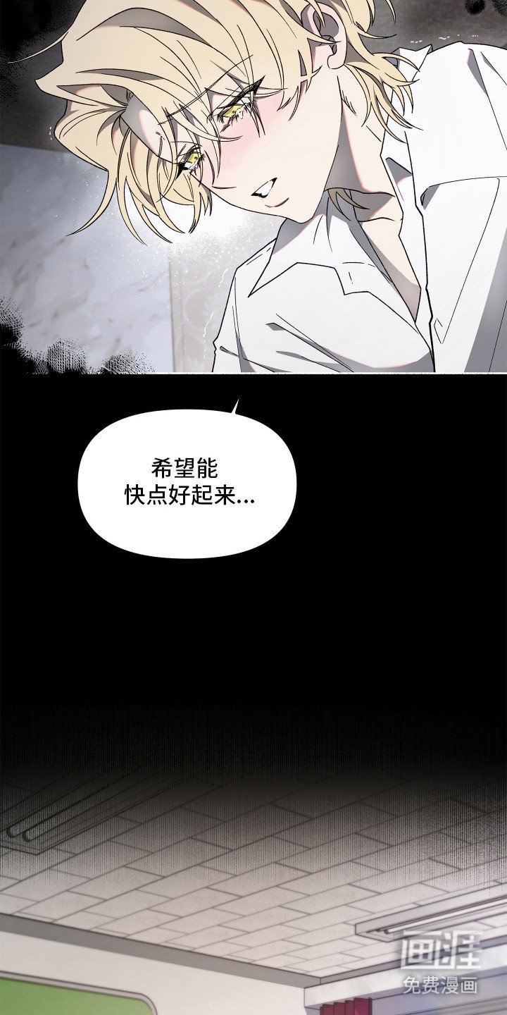 第2章：报纸