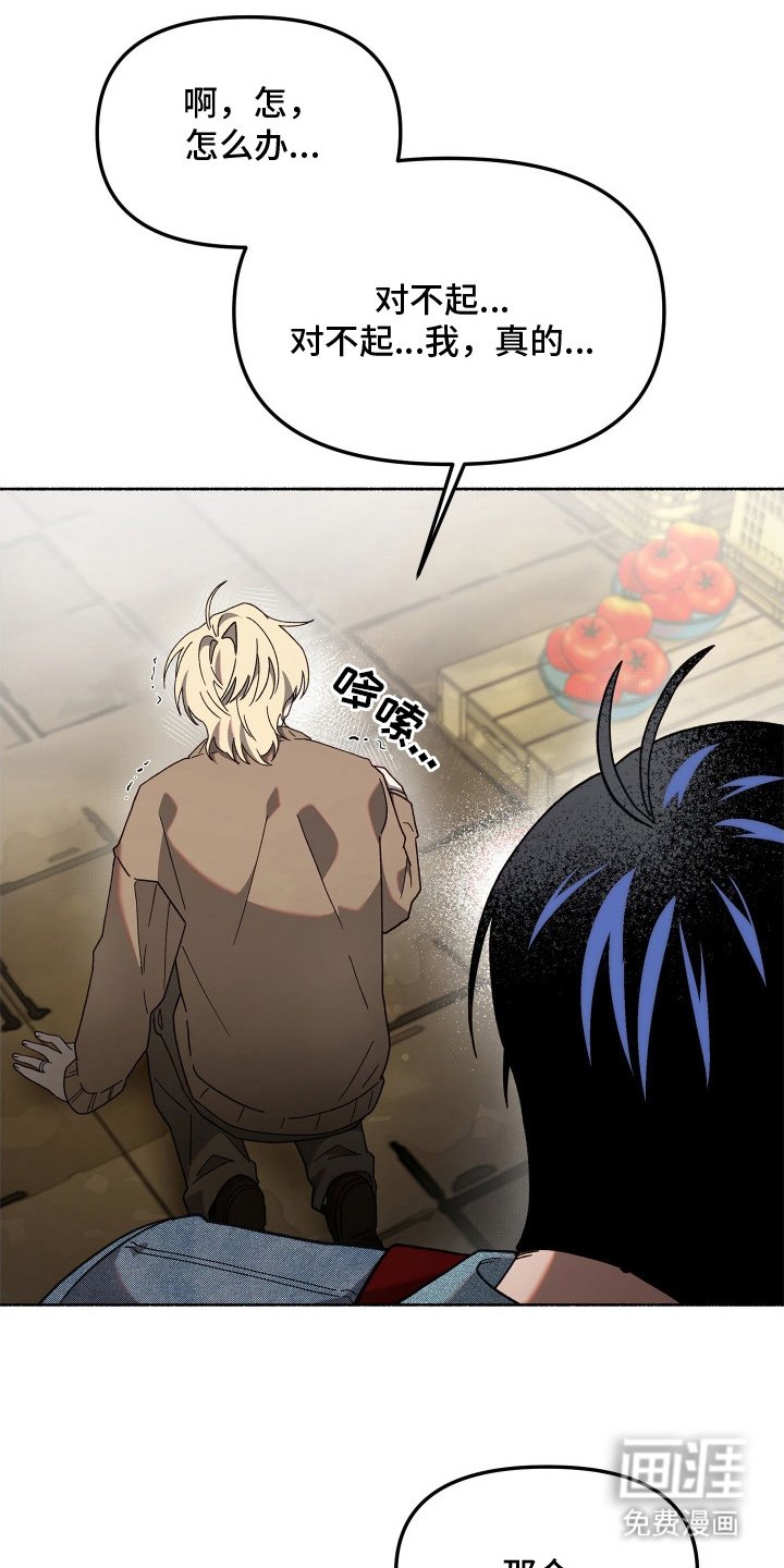 第5章：我来捡