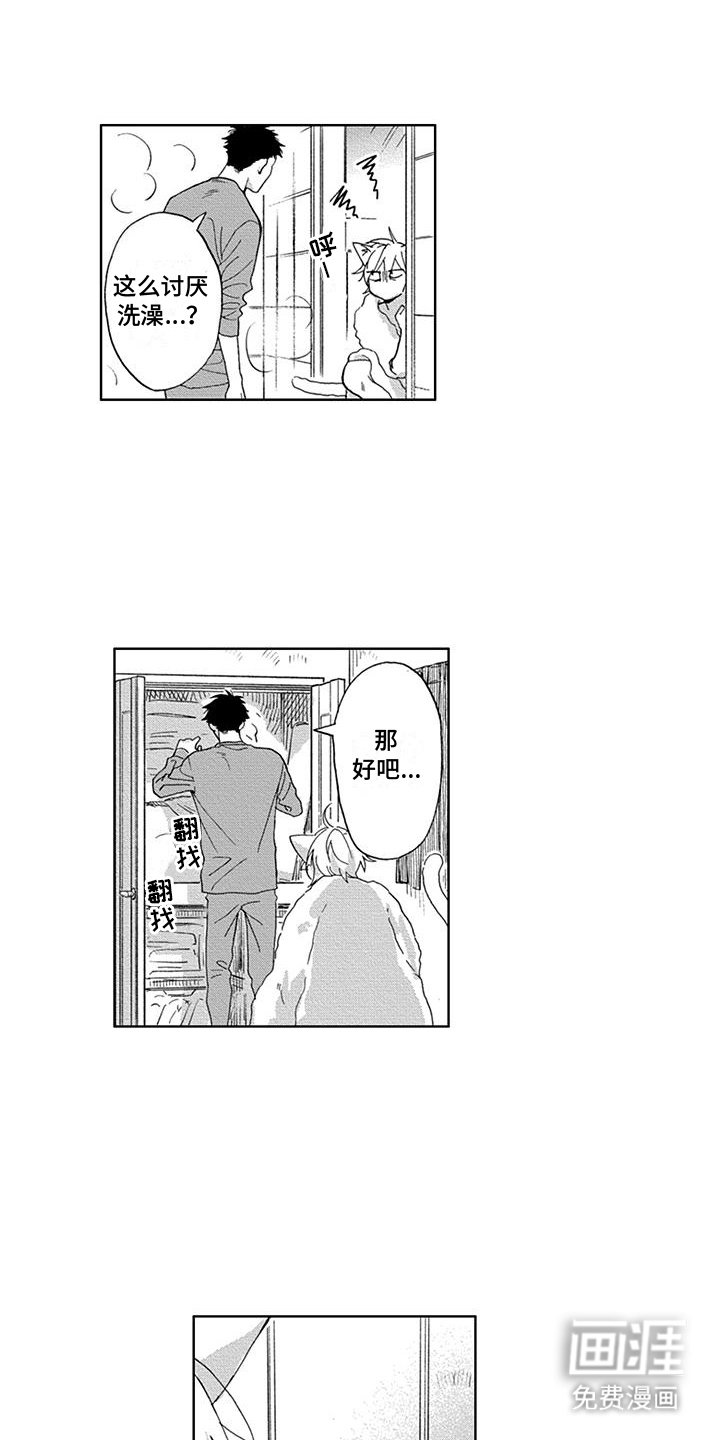 第11章：酣睡