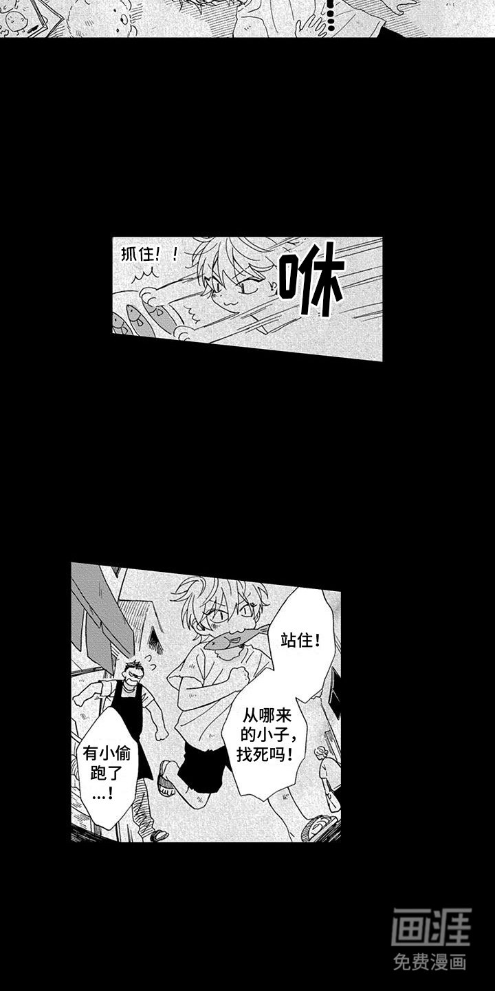 第15章：玉球过的很幸福