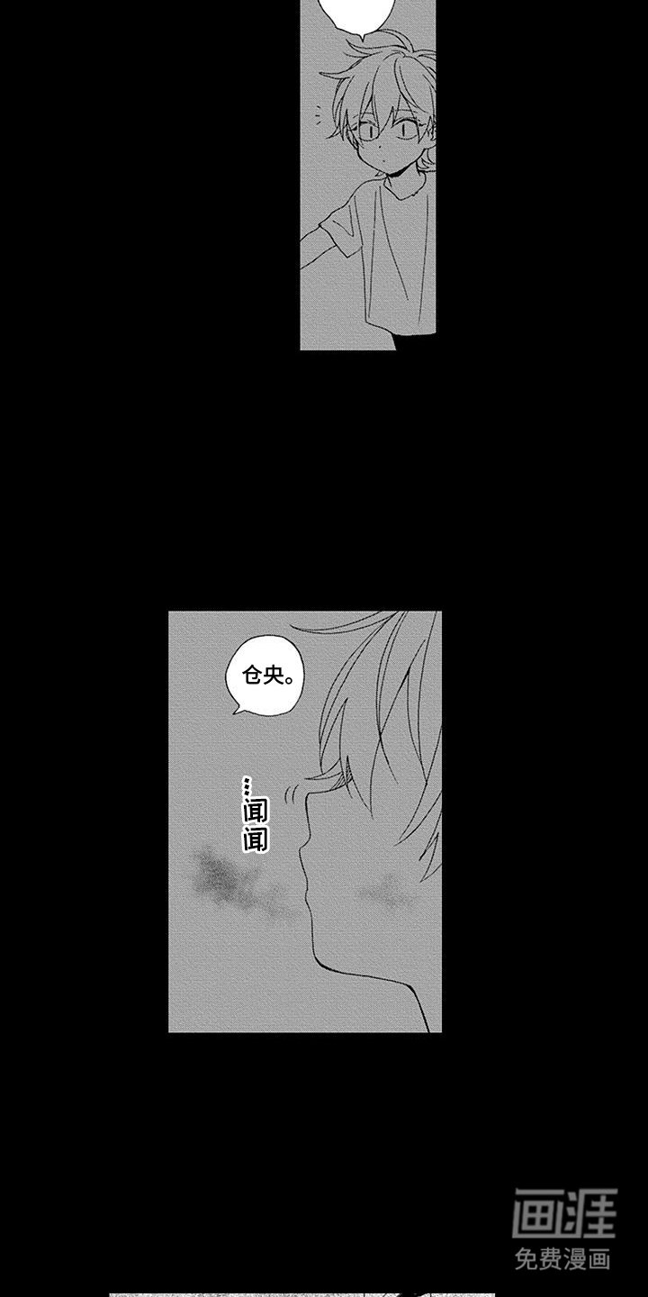 第15章：玉球过的很幸福