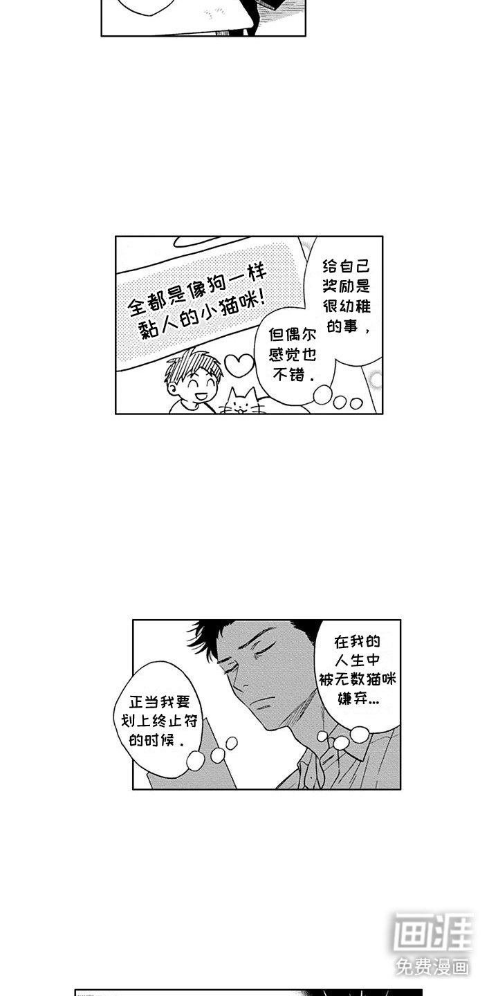 第2章：租赁猫咪