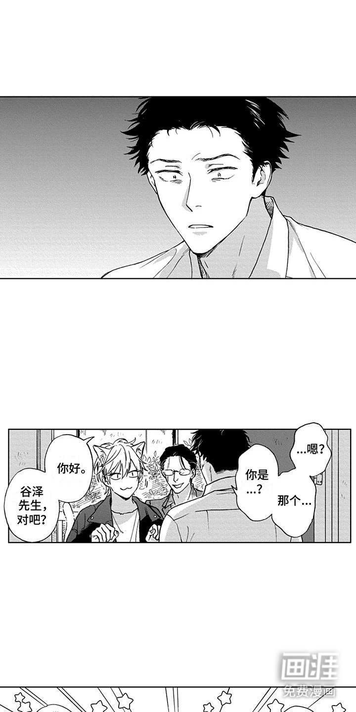 第2章：租赁猫咪