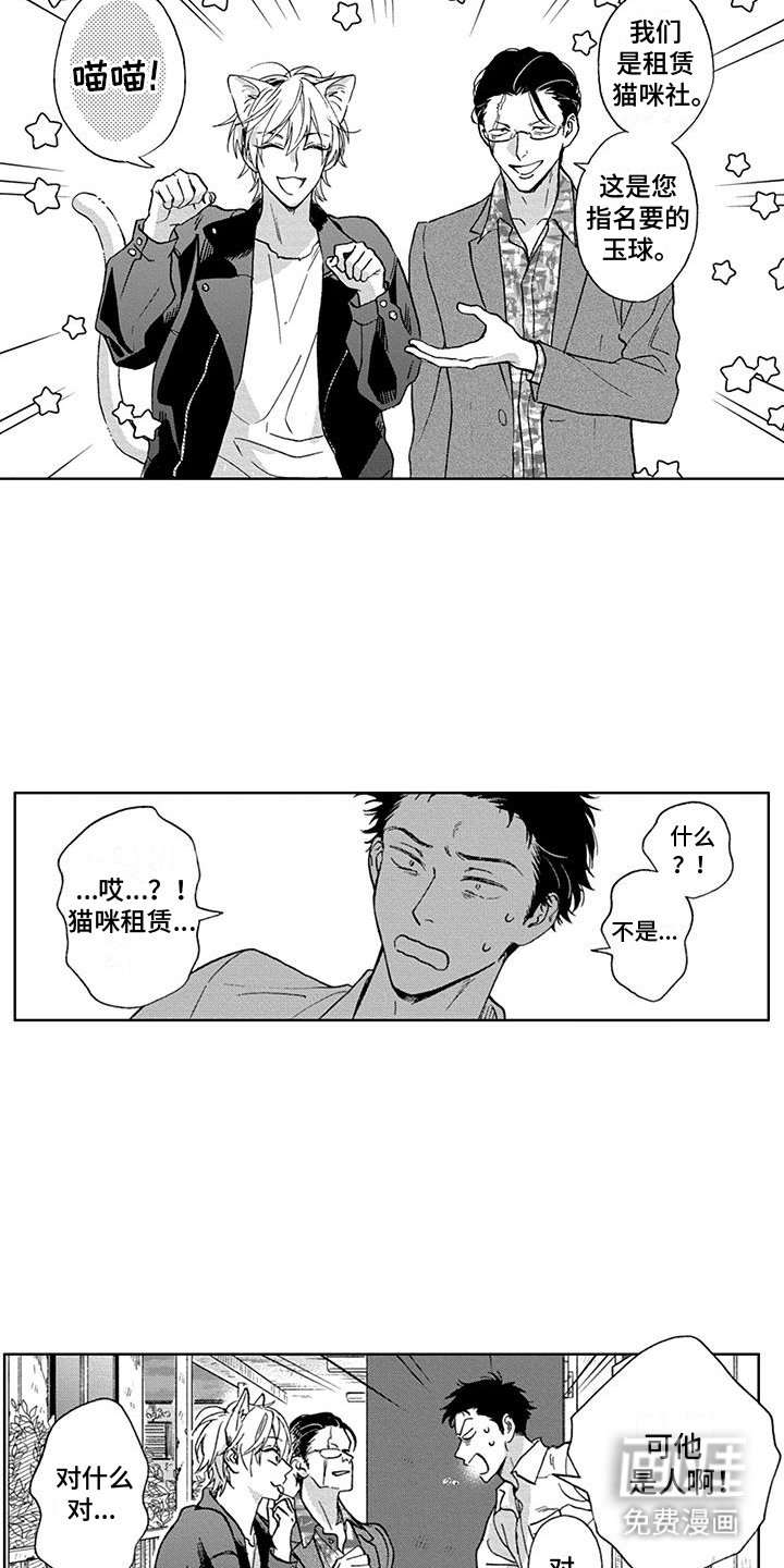 第2章：租赁猫咪