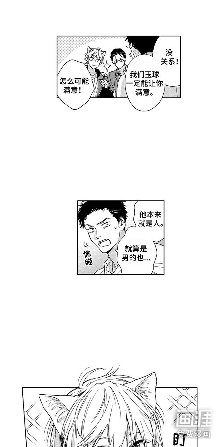 第2章：租赁猫咪