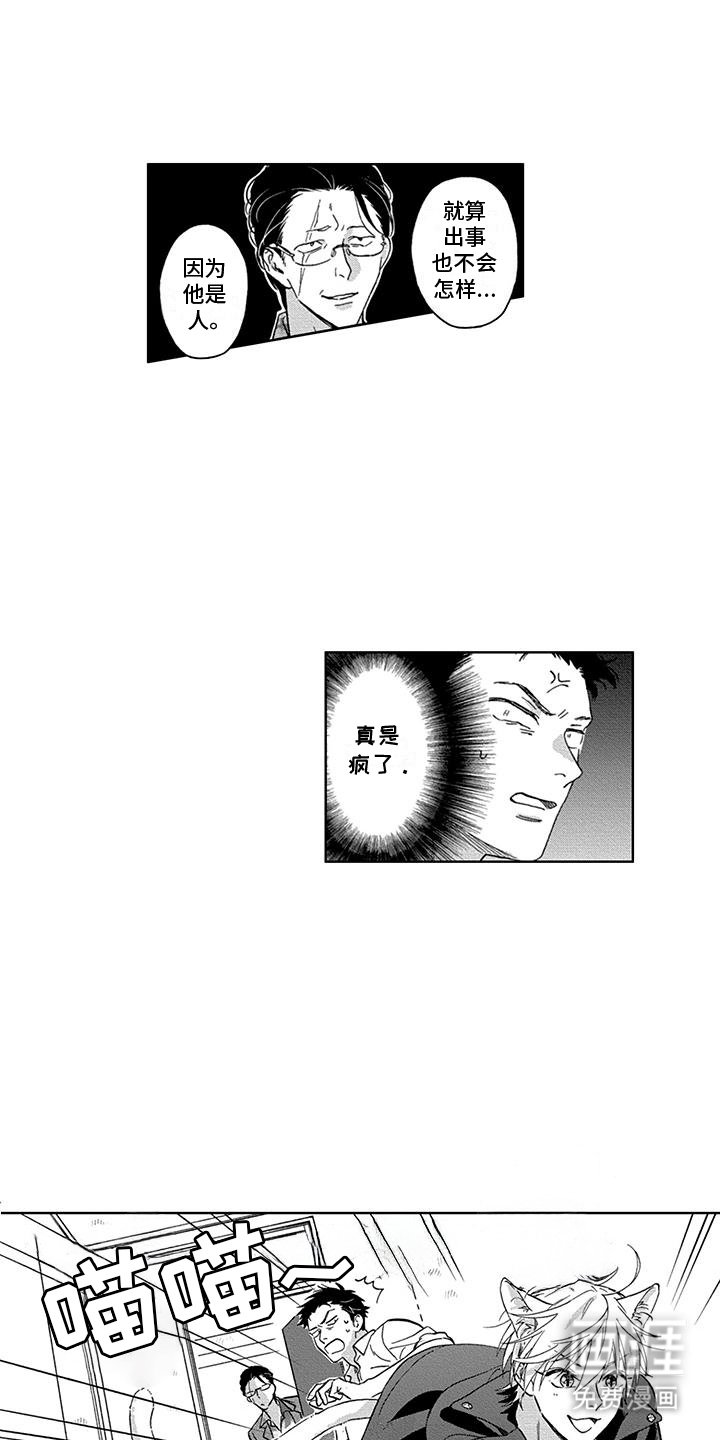 第2章：租赁猫咪