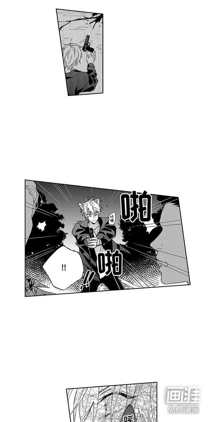第20章：出手