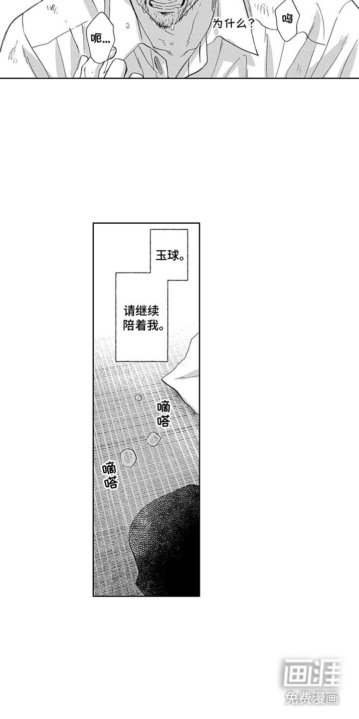 第29章：振作