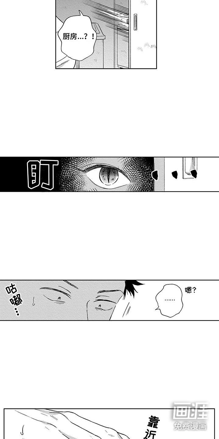 第3章：着迷