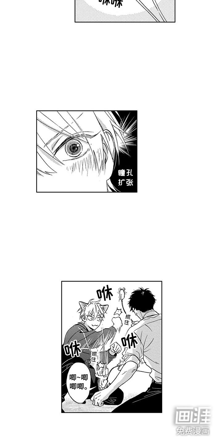 第3章：着迷