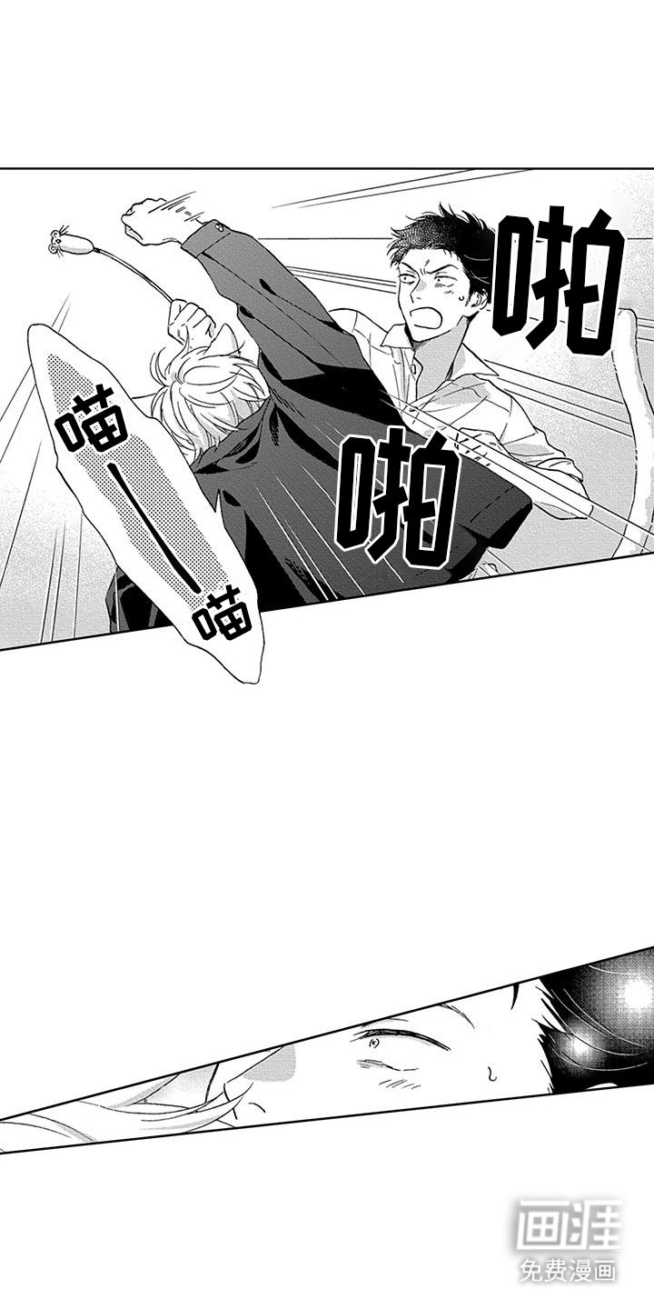 第3章：着迷