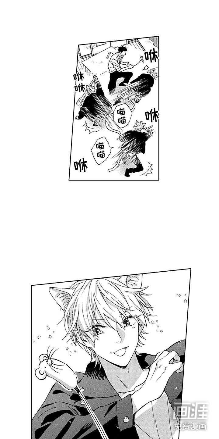 第3章：着迷