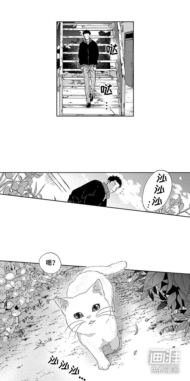 第30章：似曾相识