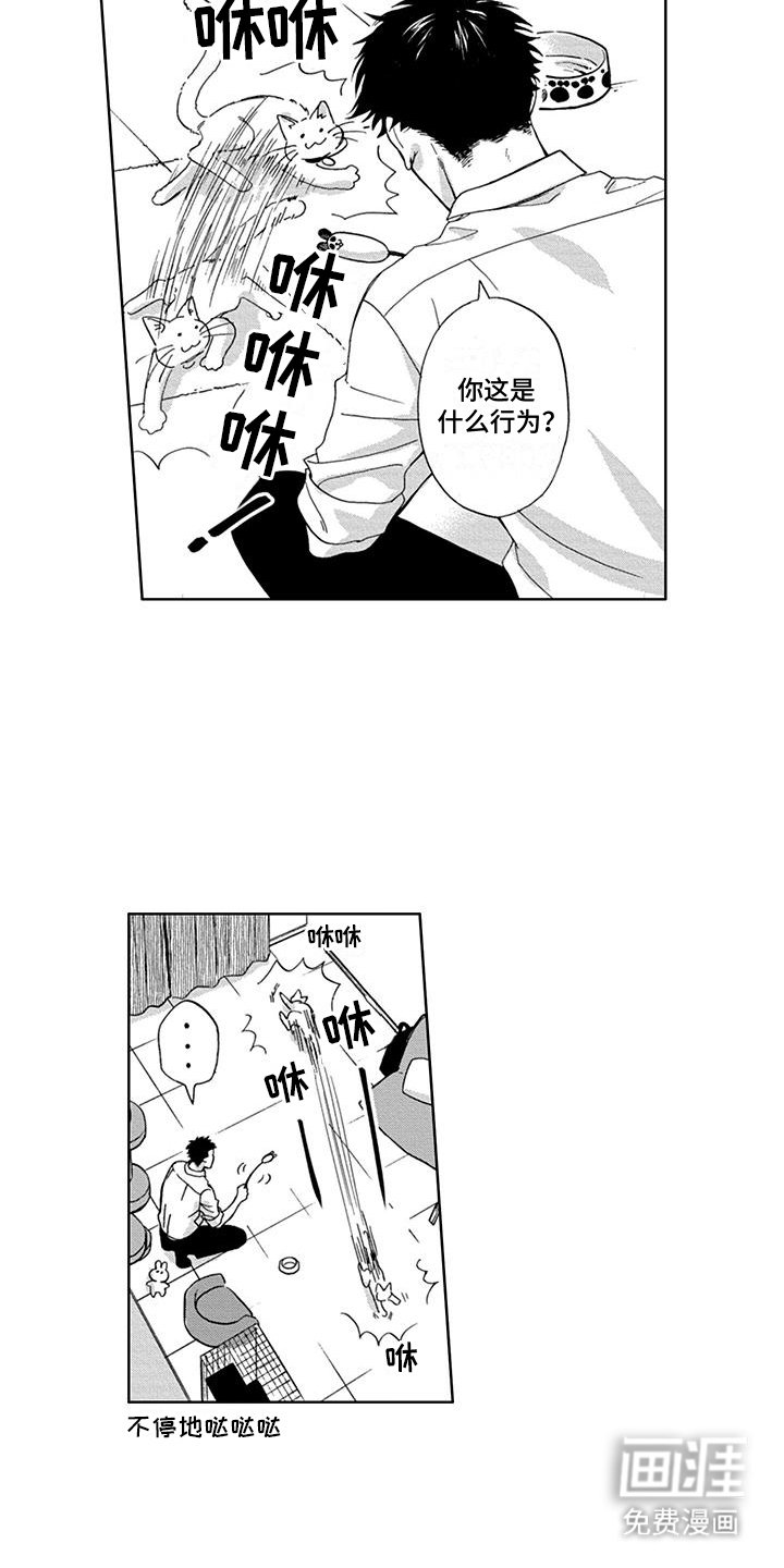 第31章：番外(完结}