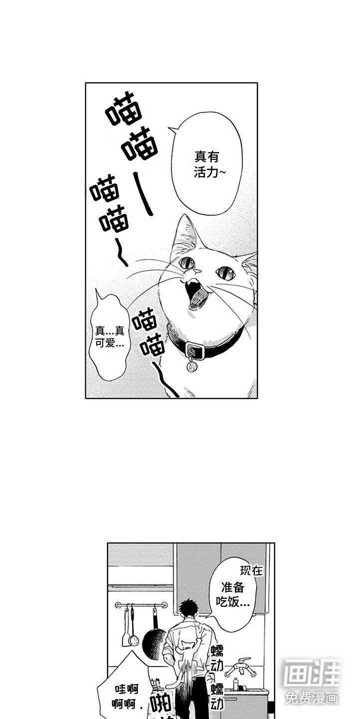 第31章：番外(完结}