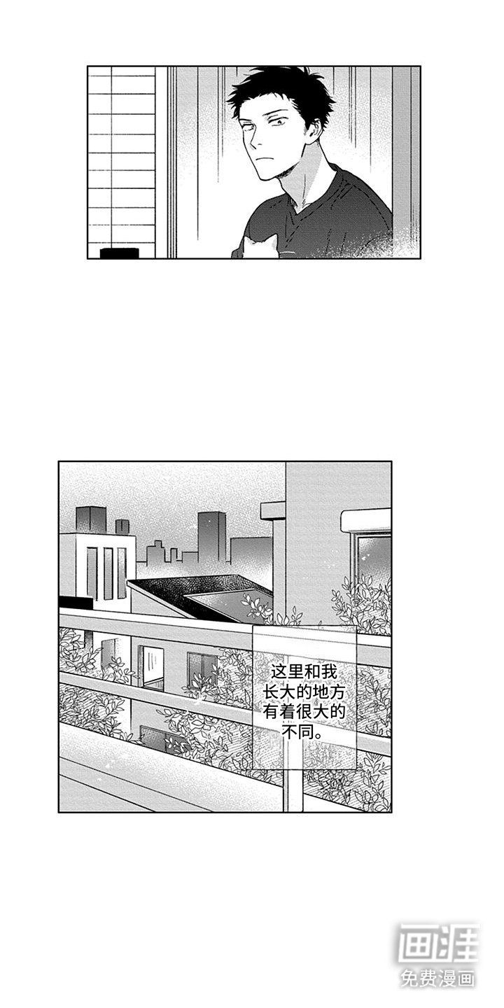 第31章：番外(完结}