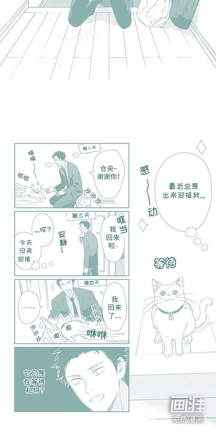 第31章：番外(完结}