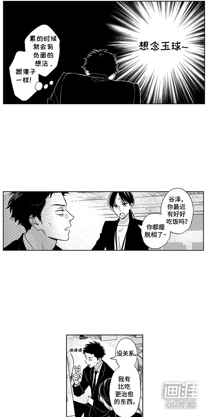 第9章：沉迷吸猫无法自拔