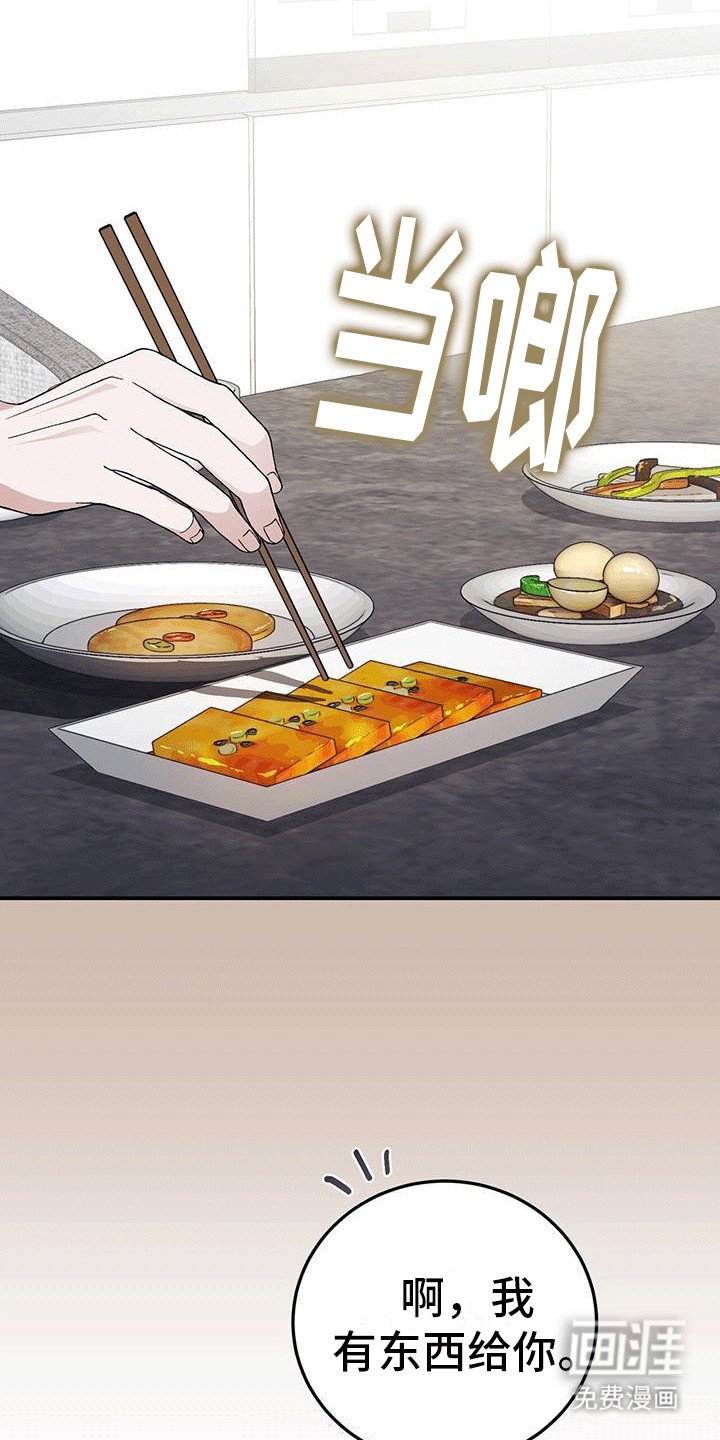 第14章：保护措施