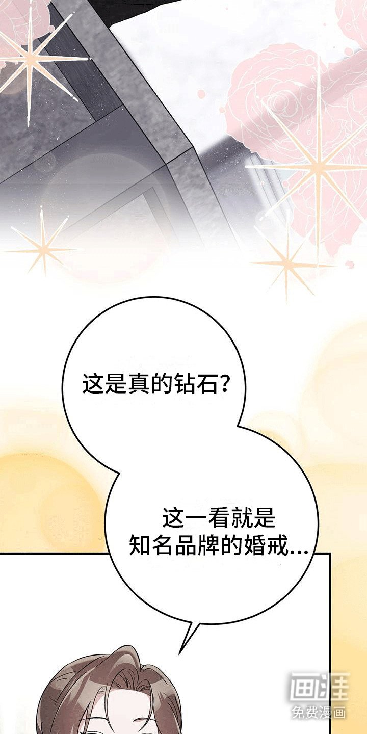 第14章：保护措施