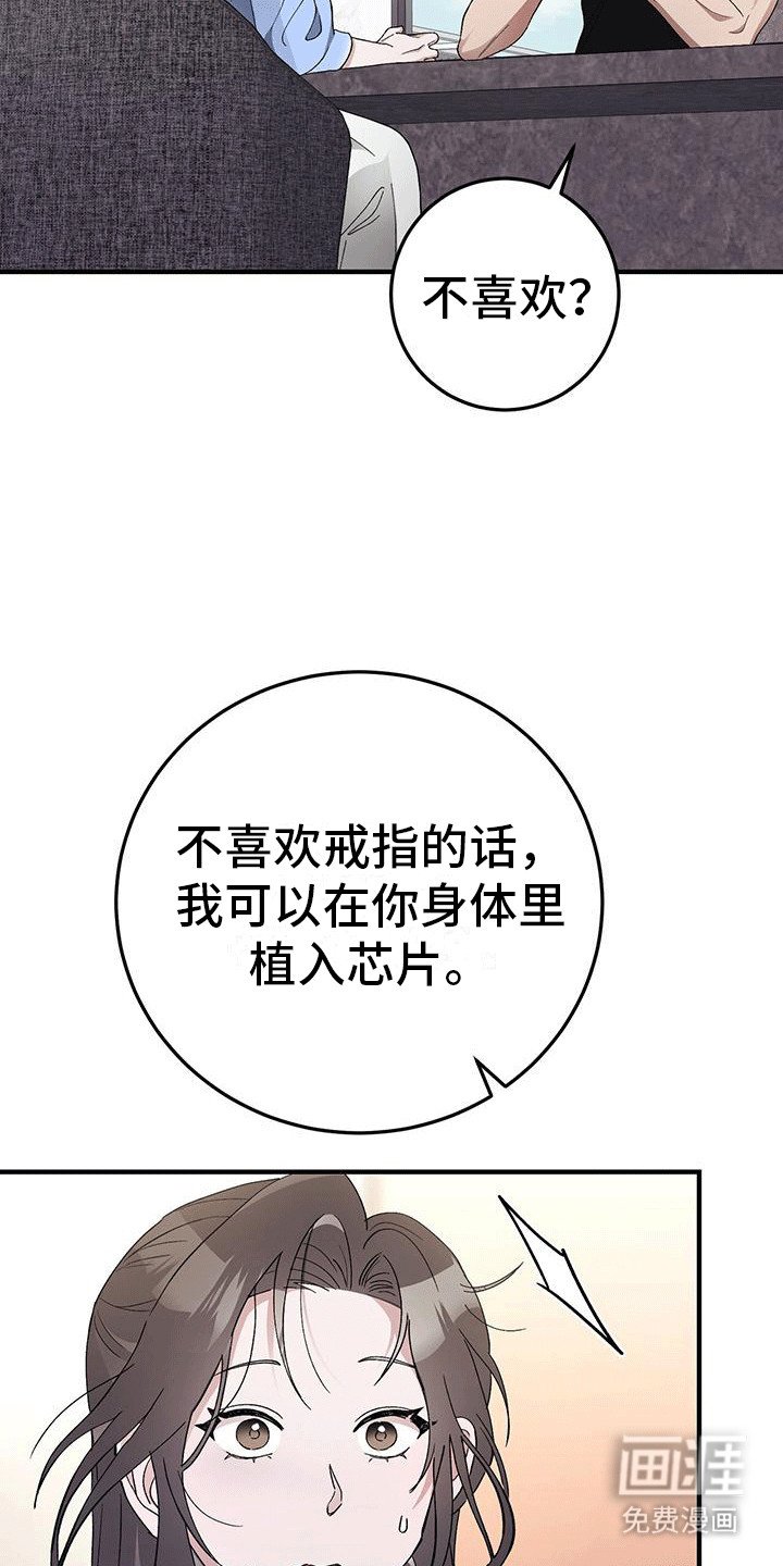 第14章：保护措施
