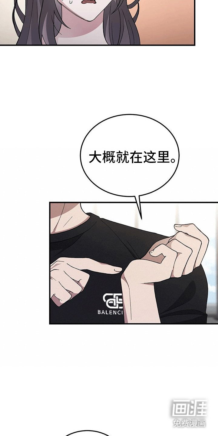 第14章：保护措施