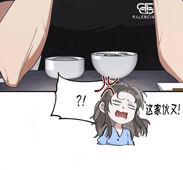 第14章：保护措施