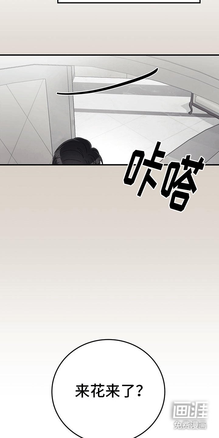 第24章：准备见面