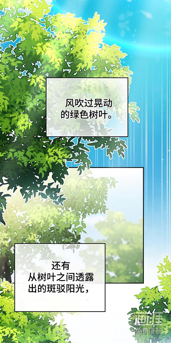 第39章：记忆