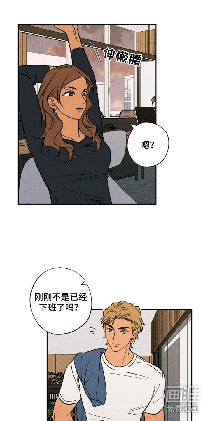 第11章：似乎发现什么