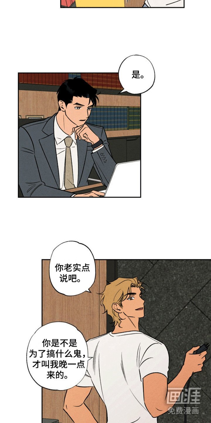 第11章：似乎发现什么
