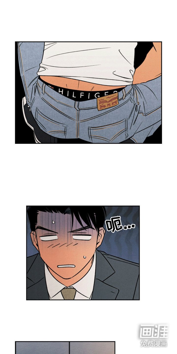 第11章：似乎发现什么