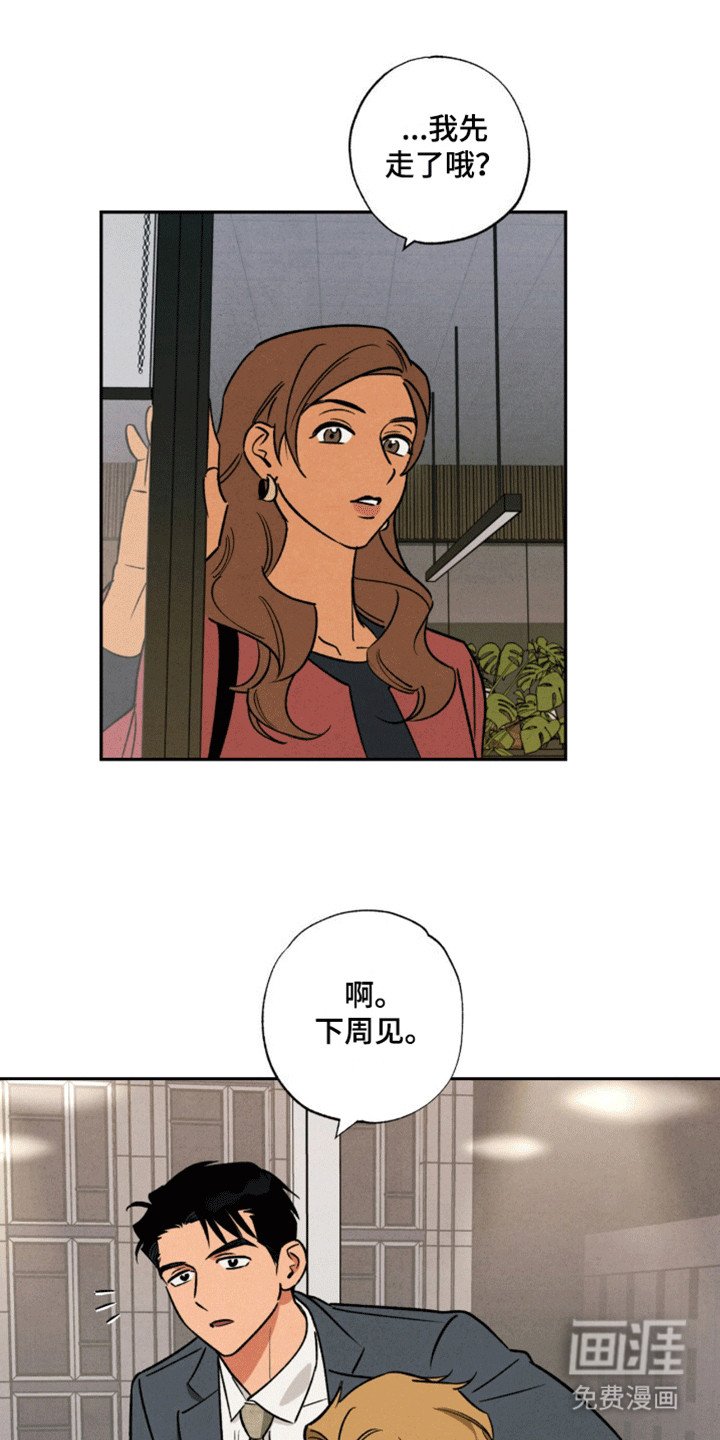 第11章：似乎发现什么