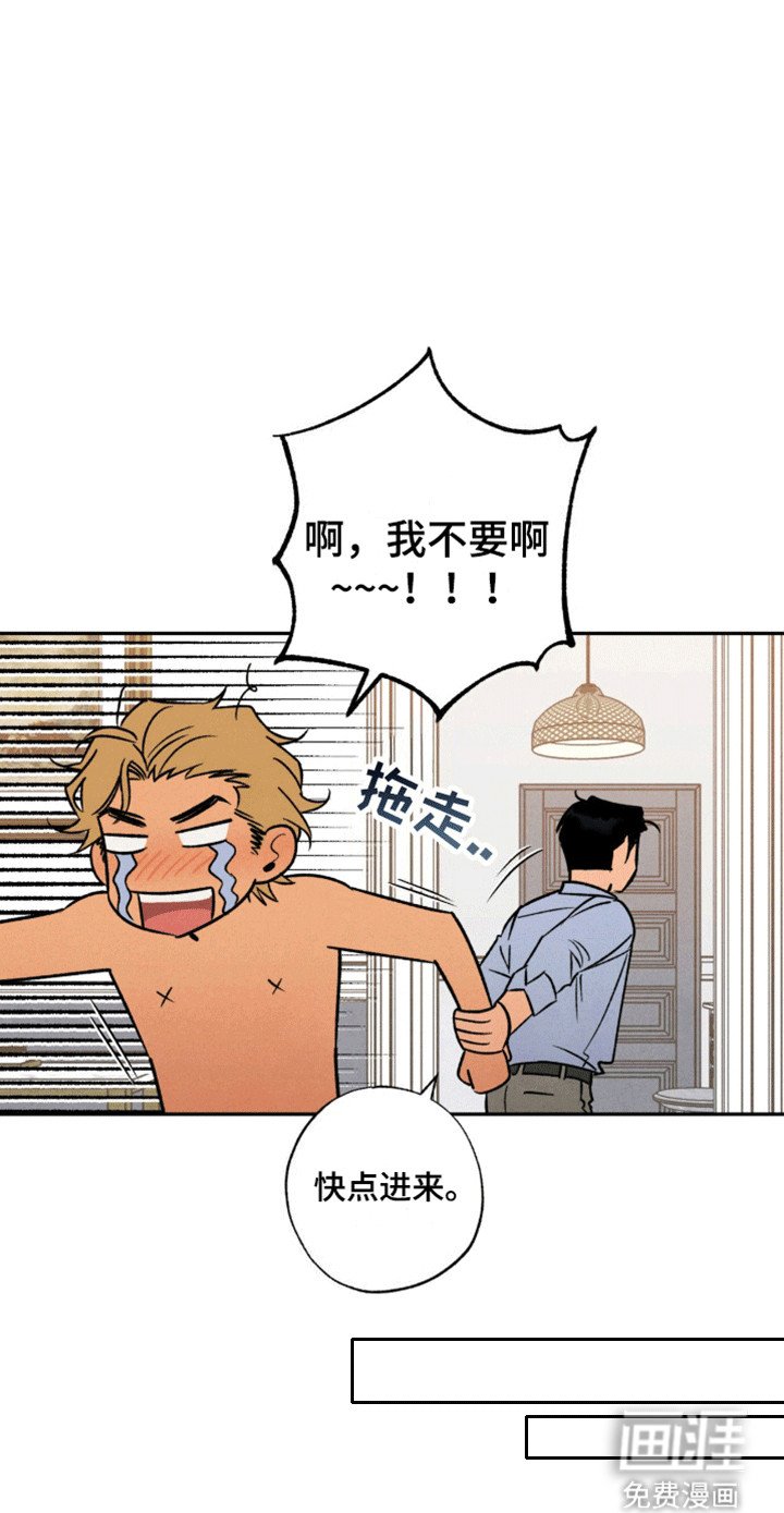 第15章：带回家