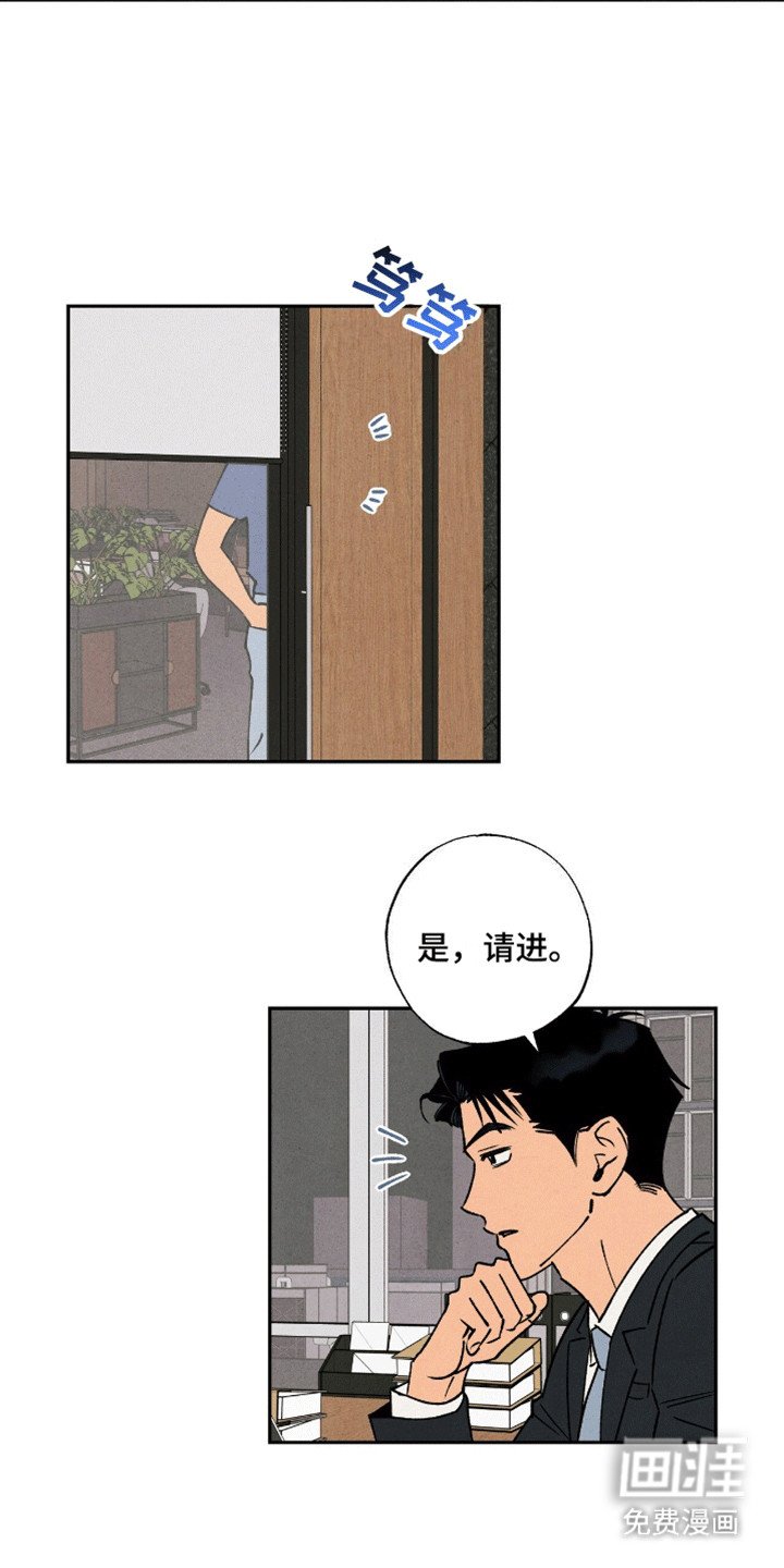 第3章：再次见面