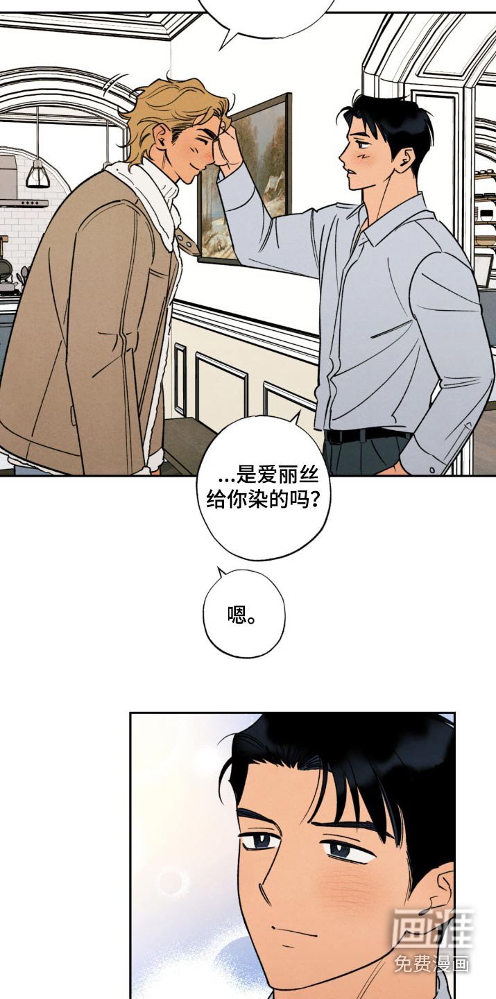 第43章：【番外】不会让你失望的