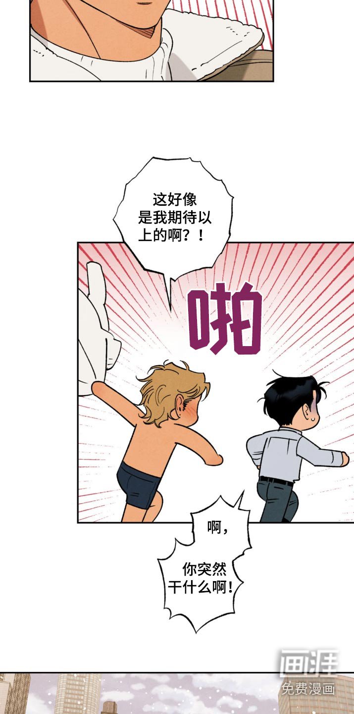 第43章：【番外】不会让你失望的