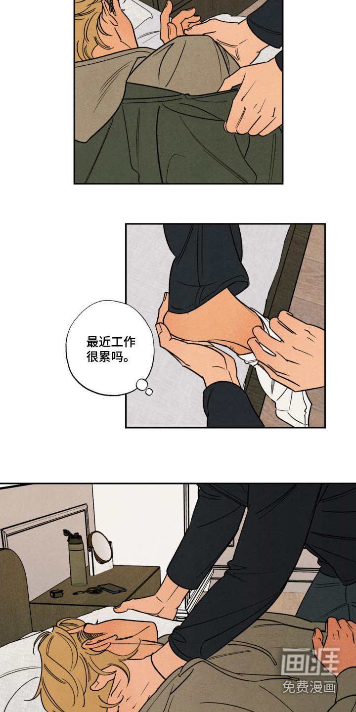 第44章：【番外】恭喜你