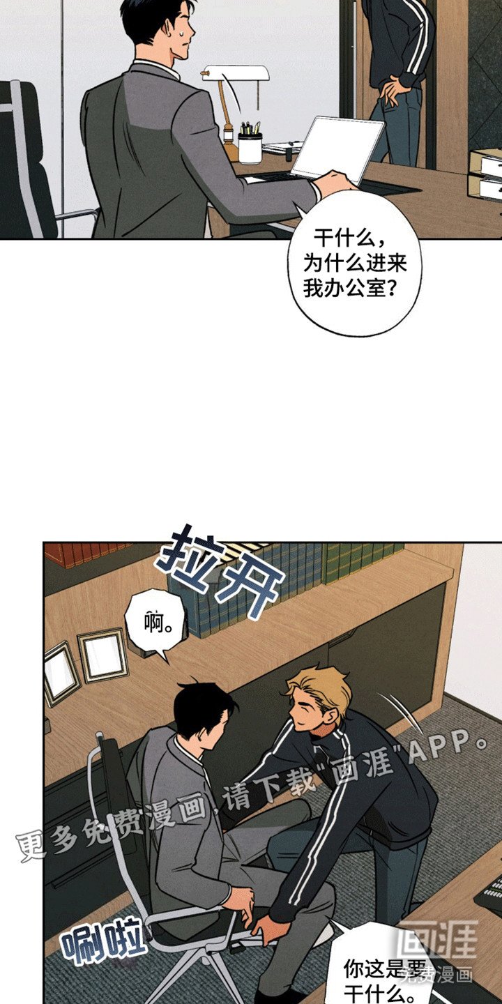 第7章：交换