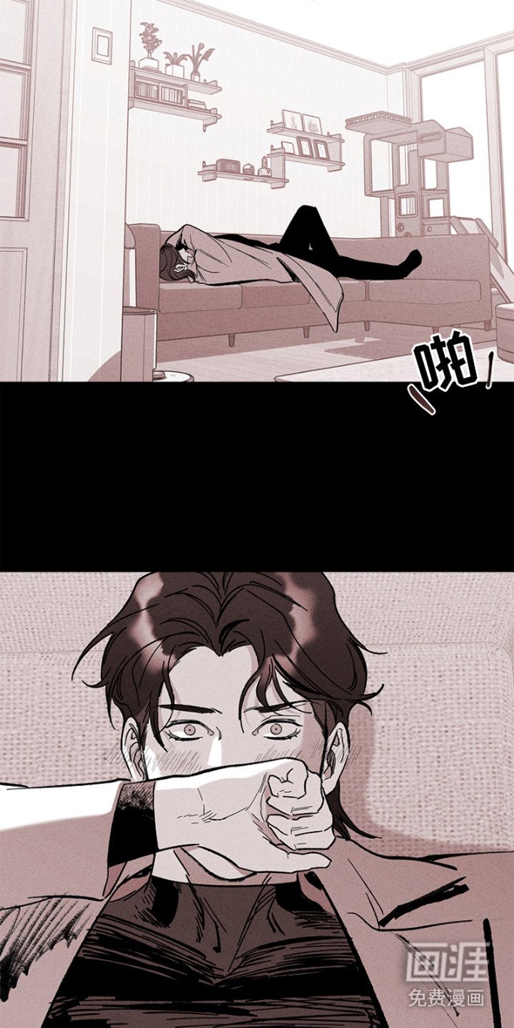 第12章：报道