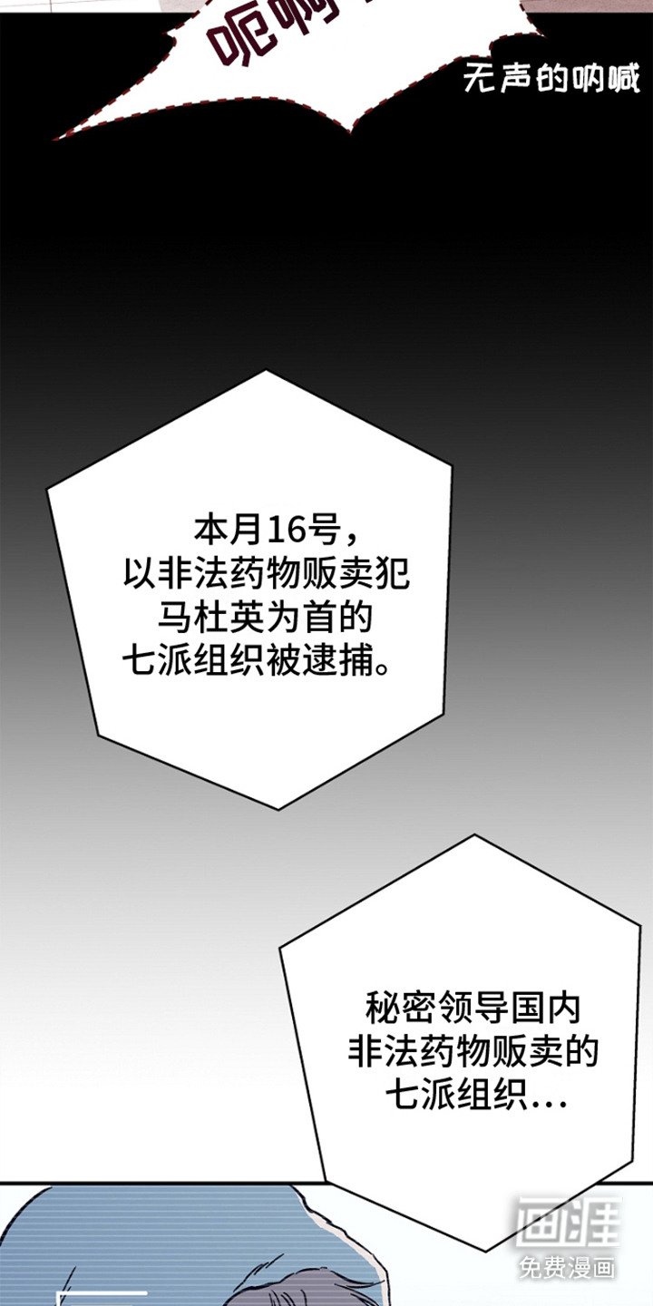 第12章：报道