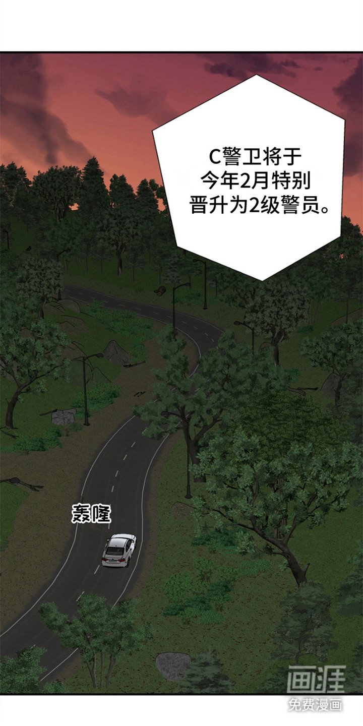 第12章：报道