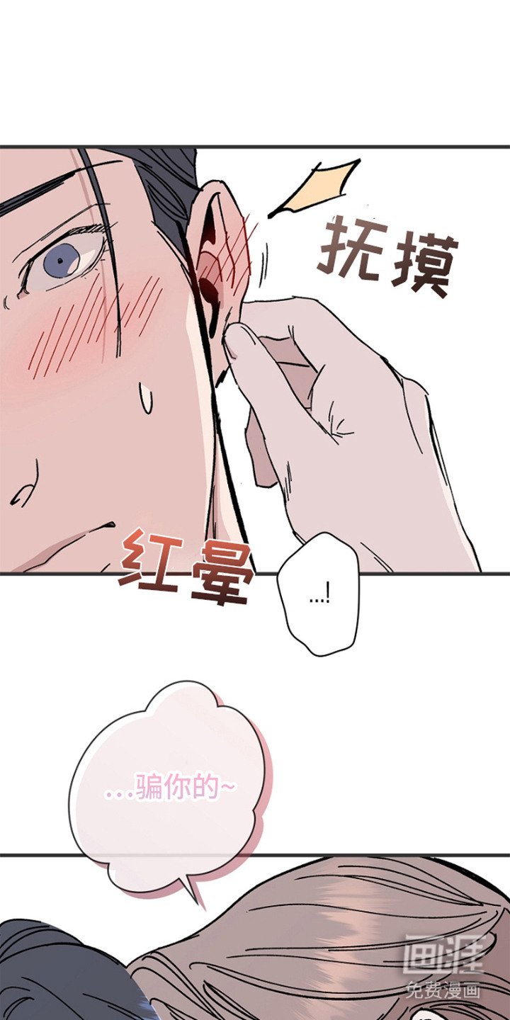 第2章： 弱点