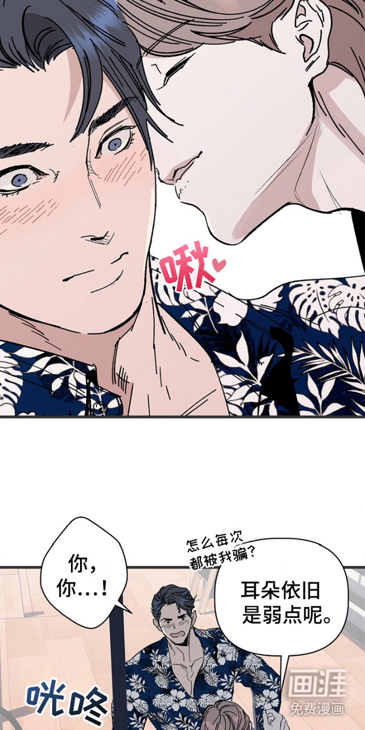 第2章： 弱点