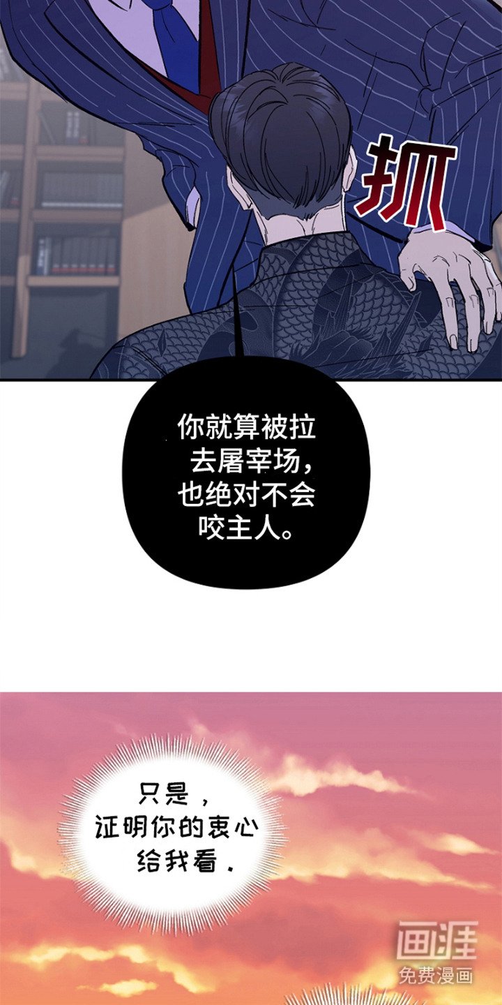第7章：证明忠心