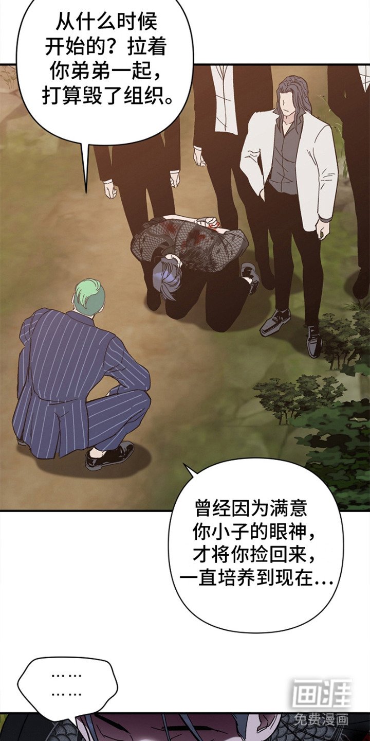 第8章：开始作战