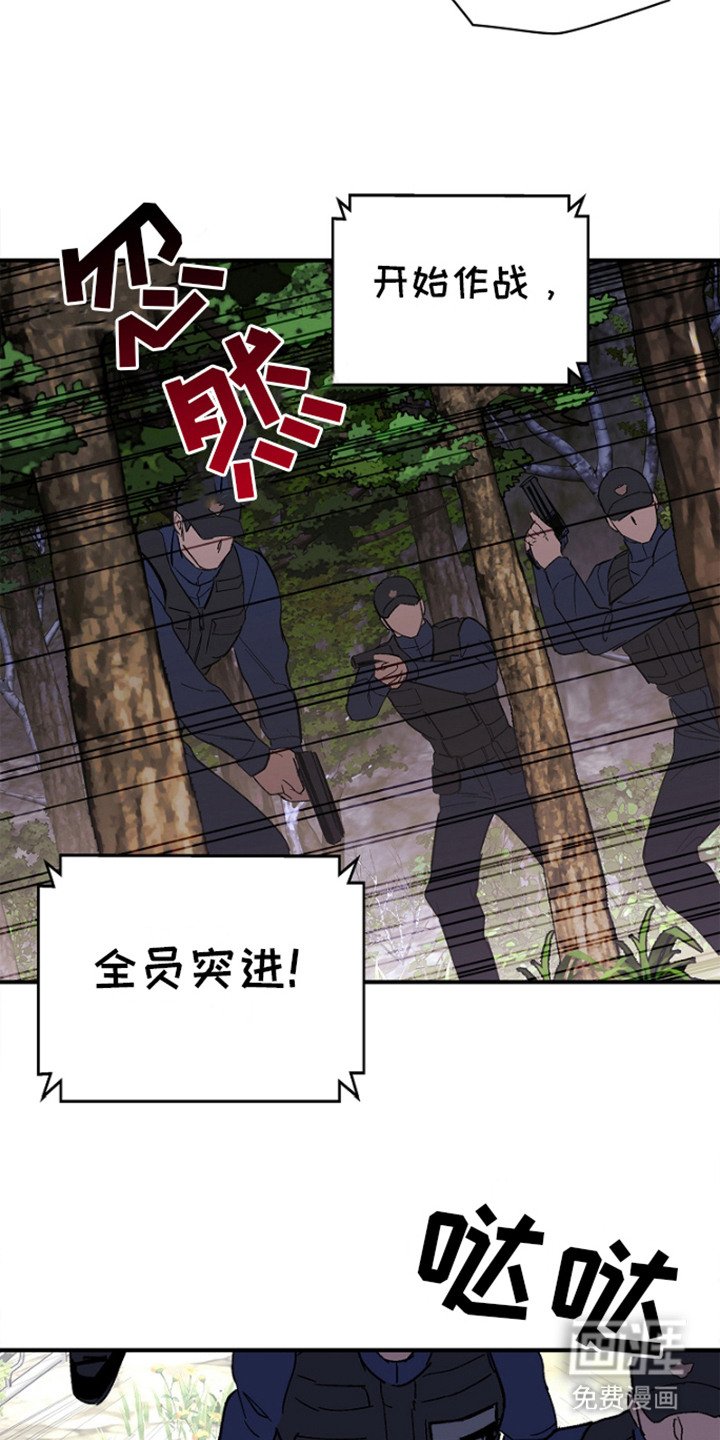 第8章：开始作战