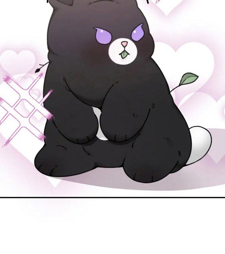 第1章：许愿
