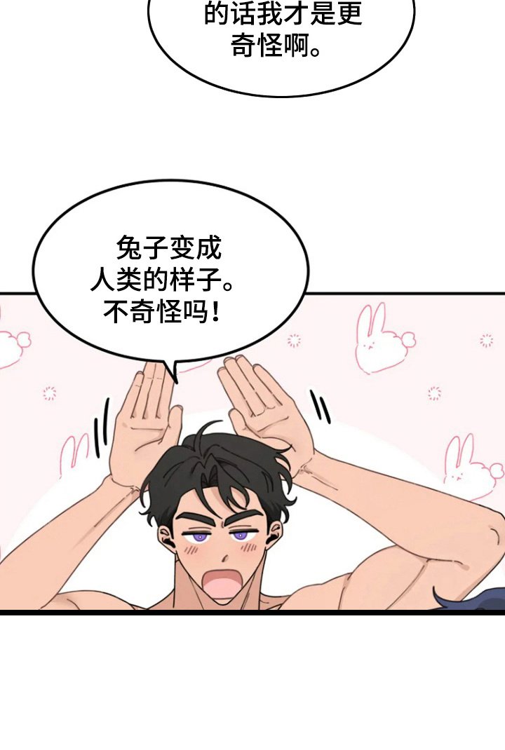 第11章：安慰